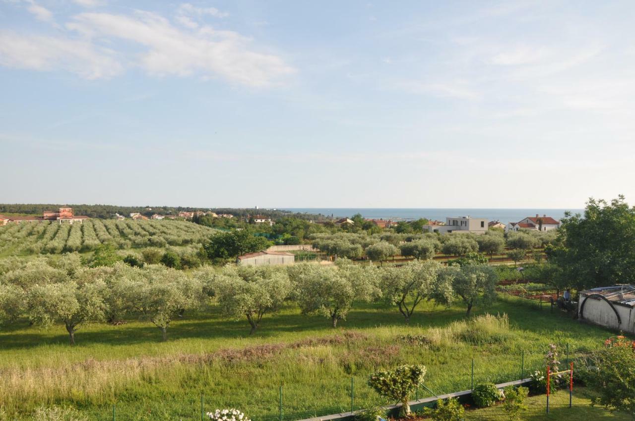 Apartments Rosa Умаг Экстерьер фото